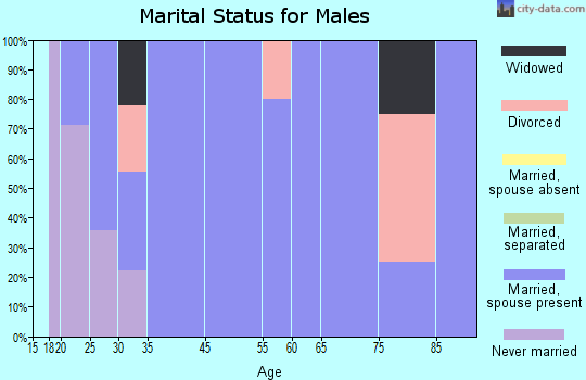 Le Roy marital status for males