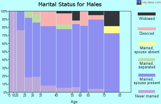 Level Park-Oak Park marital status for males