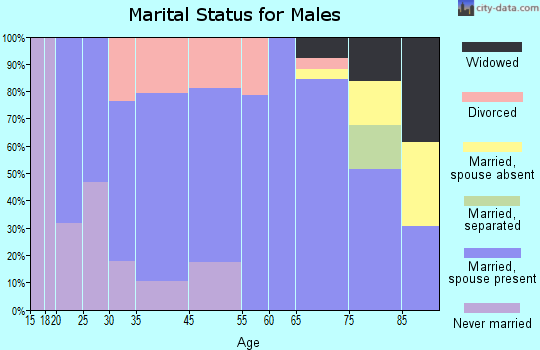 Lewiston marital status for males