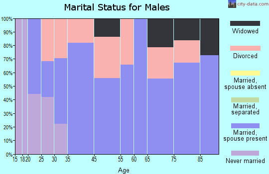 Sun Valley marital status for males