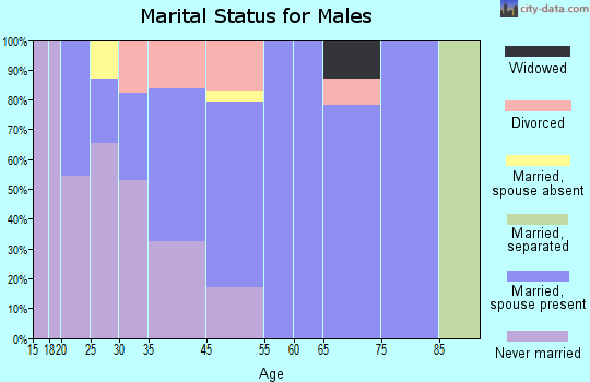 Mackinac Island marital status for males