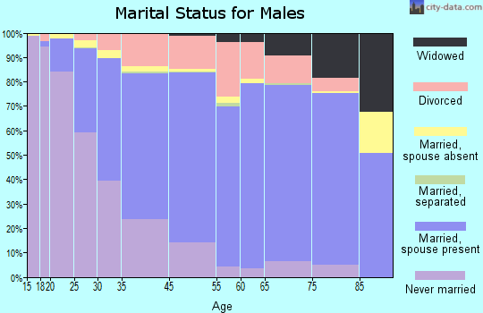 Madison Heights marital status for males