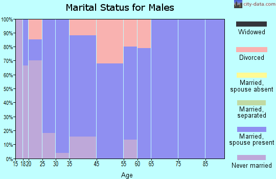 Maple Rapids marital status for males