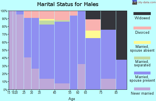 Mason marital status for males