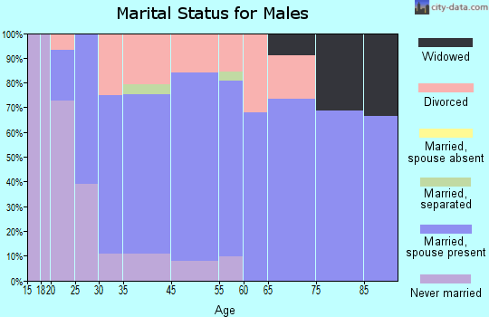 Mattawan marital status for males