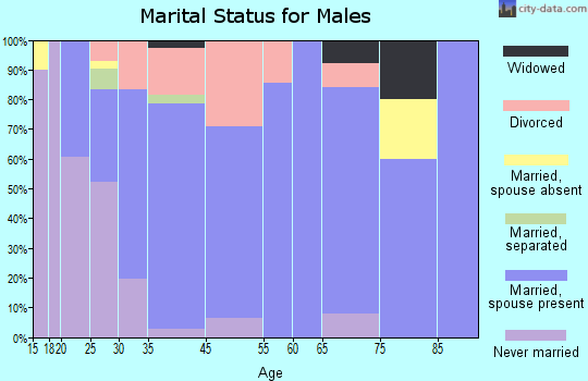 Mayville marital status for males
