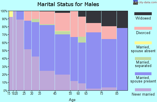 Melvindale marital status for males