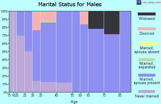 Mendon marital status for males