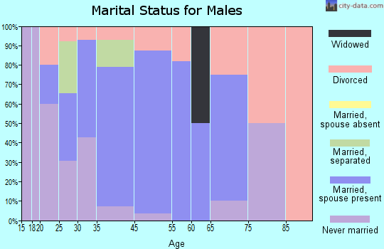Metamora marital status for males