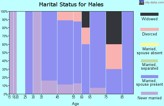 Michigamme marital status for males