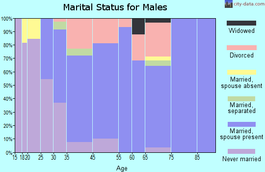 Michigan Center marital status for males