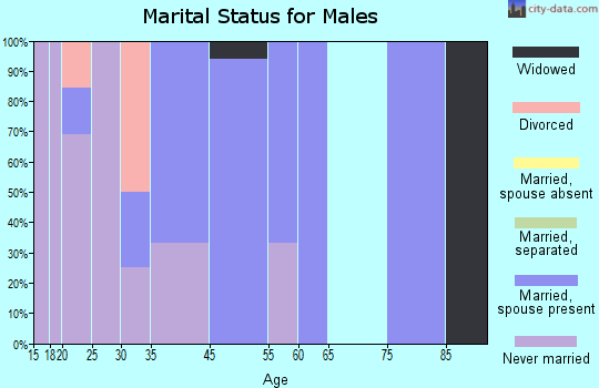 Minden City marital status for males