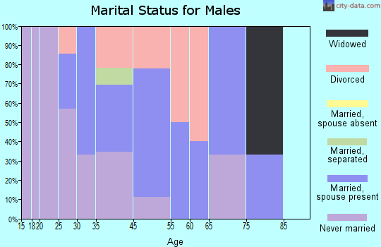 Mineral Hills marital status for males