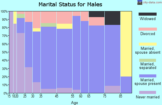 Morenci marital status for males