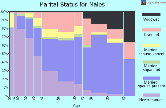Mount Clemens marital status for males