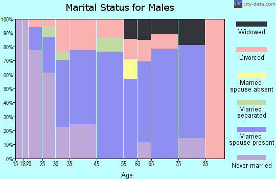 Mount Morris marital status for males