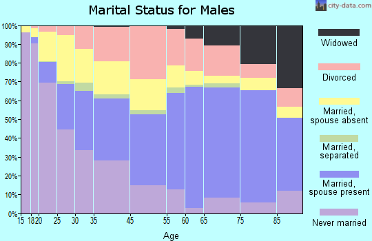 Muskegon marital status for males