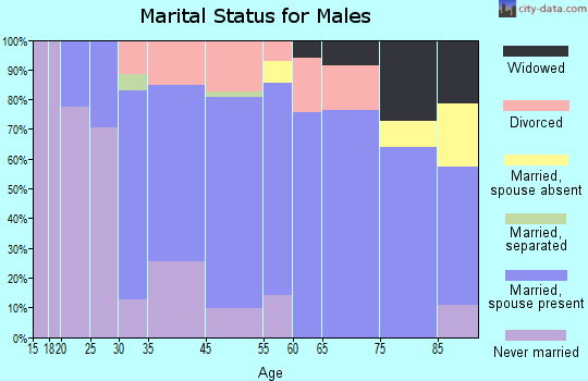 Negaunee marital status for males
