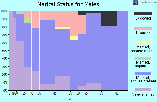 Newaygo marital status for males