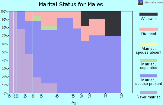 North Adams marital status for males