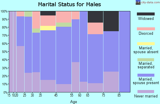 North Branch marital status for males