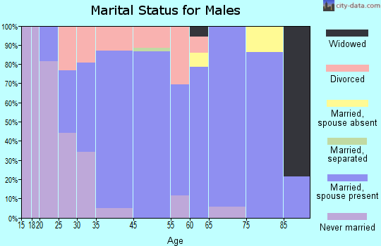 North Muskegon marital status for males