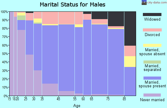 Norton Shores marital status for males
