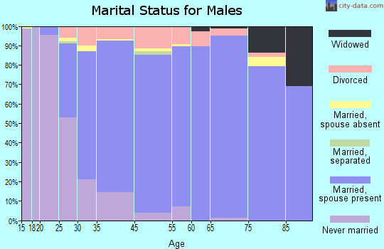 Okemos marital status for males