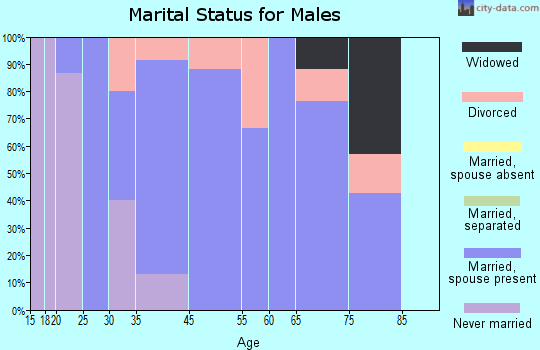 Omer marital status for males