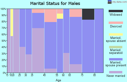 Onekama marital status for males