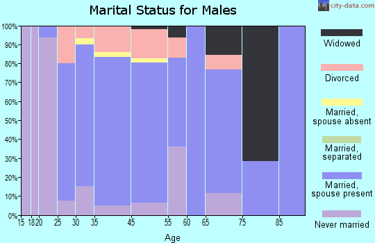 Ortonville marital status for males