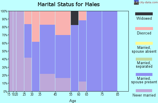 Ossineke marital status for males