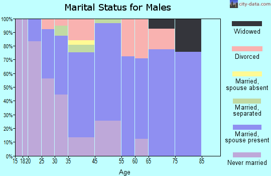 Parchment marital status for males