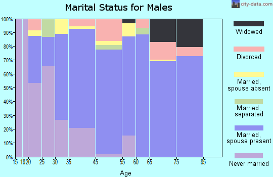Paw Paw Lake marital status for males