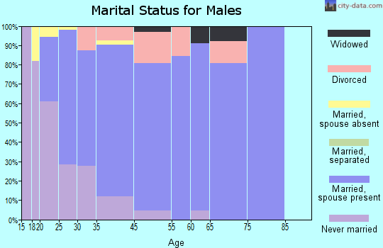 Petersburg marital status for males