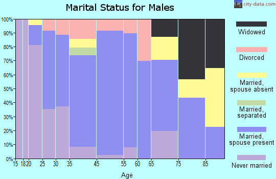 Plainwell marital status for males