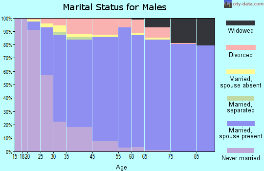 Plymouth Township marital status for males