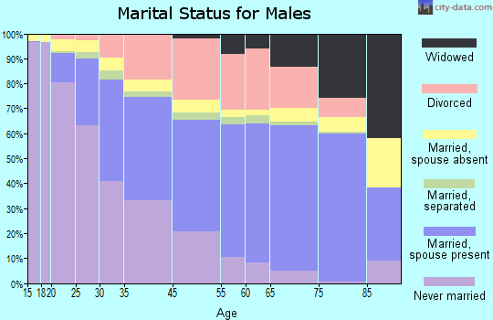 Pontiac marital status for males