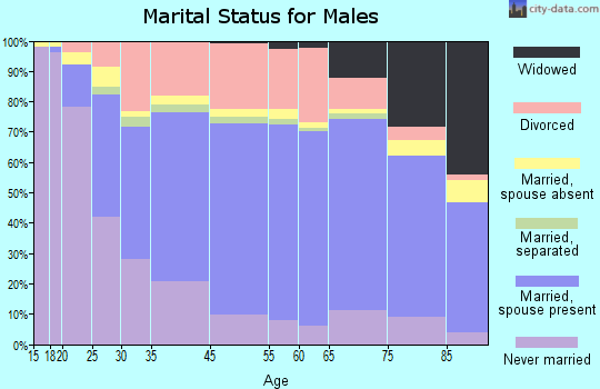 Port Huron marital status for males