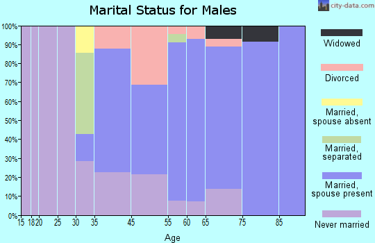 Prudenville marital status for males