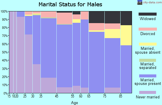 Rochester marital status for males