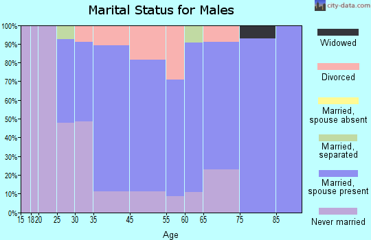 Romeo marital status for males