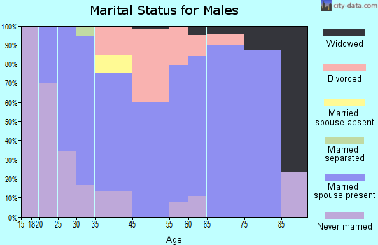 Roosevelt Park marital status for males