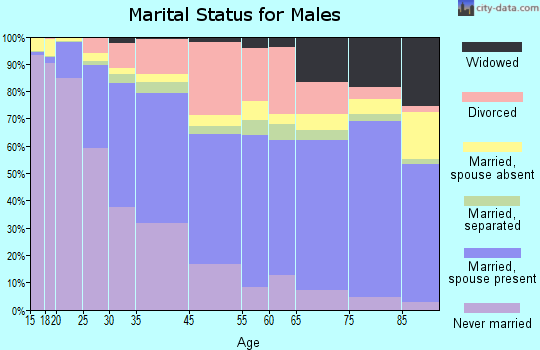 Saginaw marital status for males