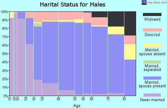 Saginaw Township North marital status for males