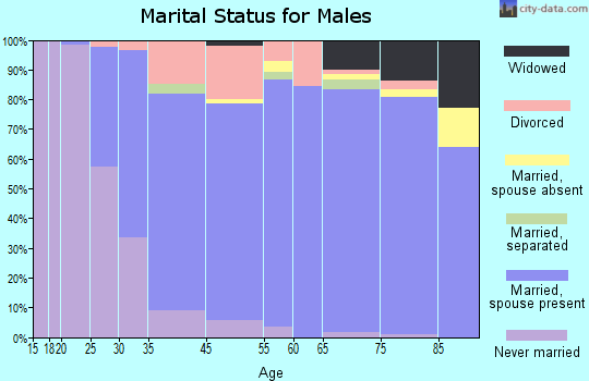Saginaw Township South marital status for males