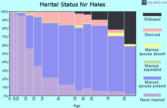 St. Clair Shores marital status for males