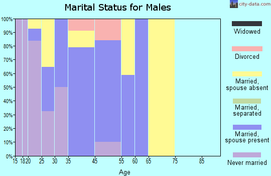 Tsaile marital status for males
