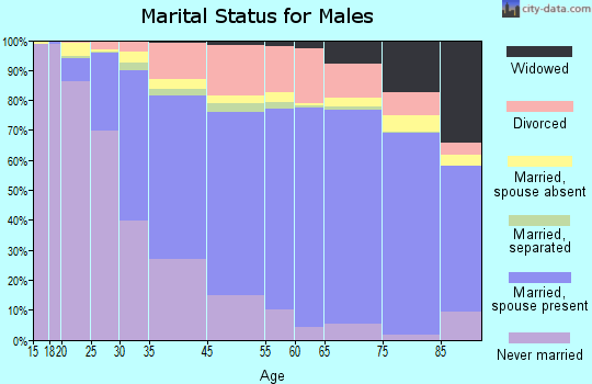 Southfield marital status for males