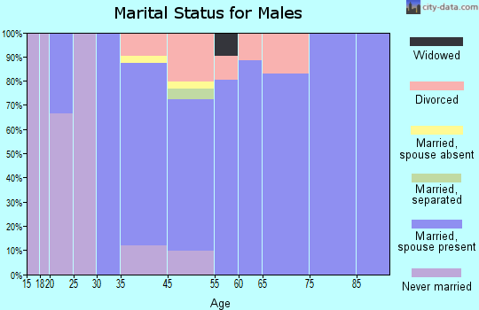South Gull Lake marital status for males